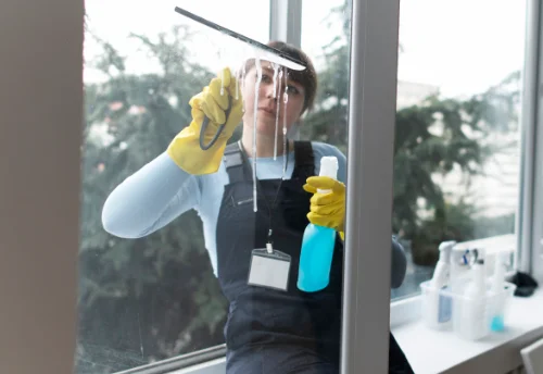 Nettoyage de vitres intérieures et extérieures à Fèves